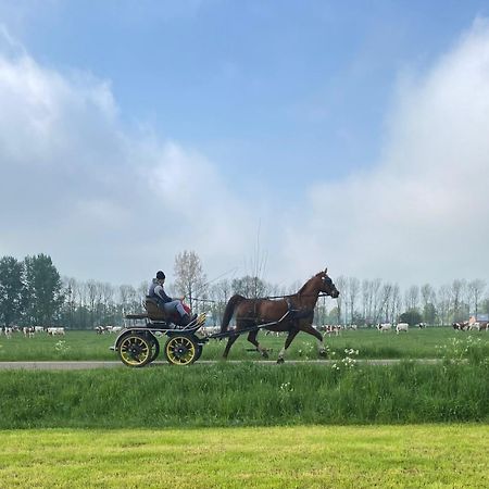 Beeldend Buiten Appartement Wichmond Buitenkant foto