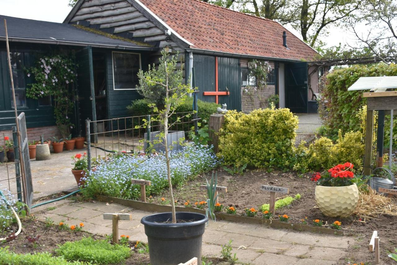 Beeldend Buiten Appartement Wichmond Buitenkant foto