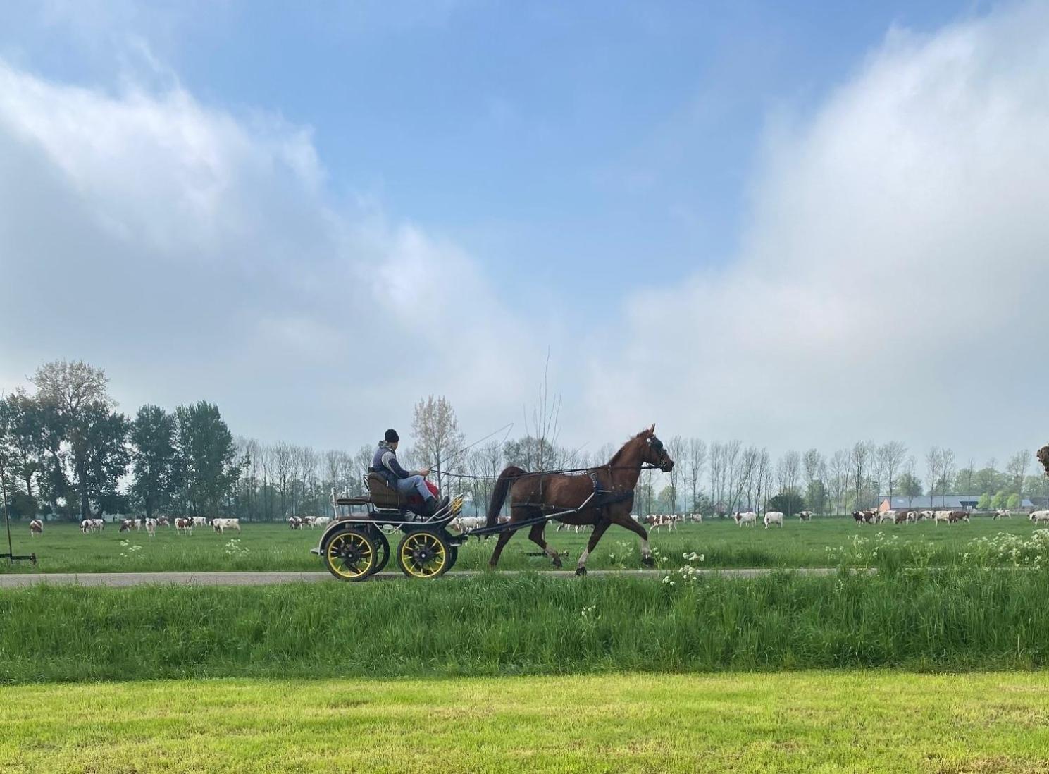 Beeldend Buiten Appartement Wichmond Buitenkant foto