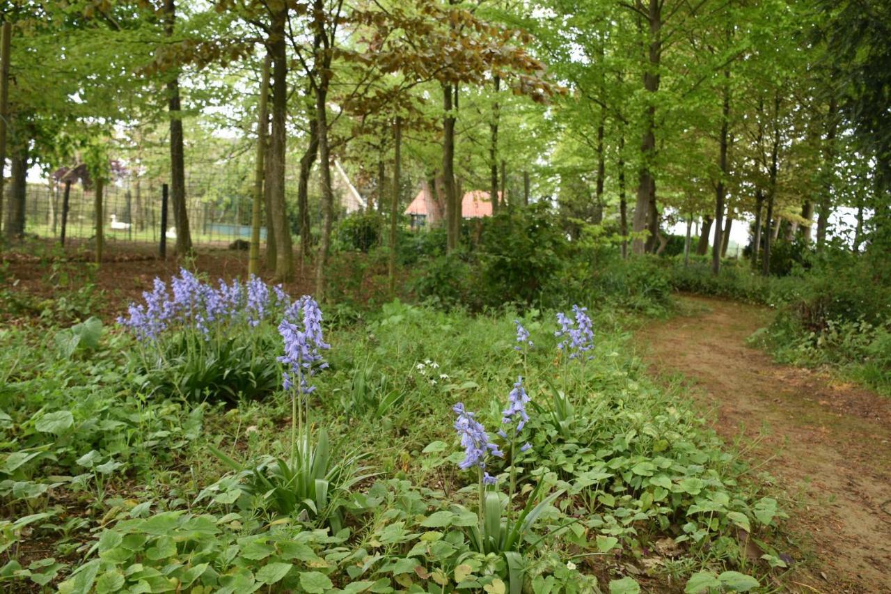 Beeldend Buiten Appartement Wichmond Buitenkant foto