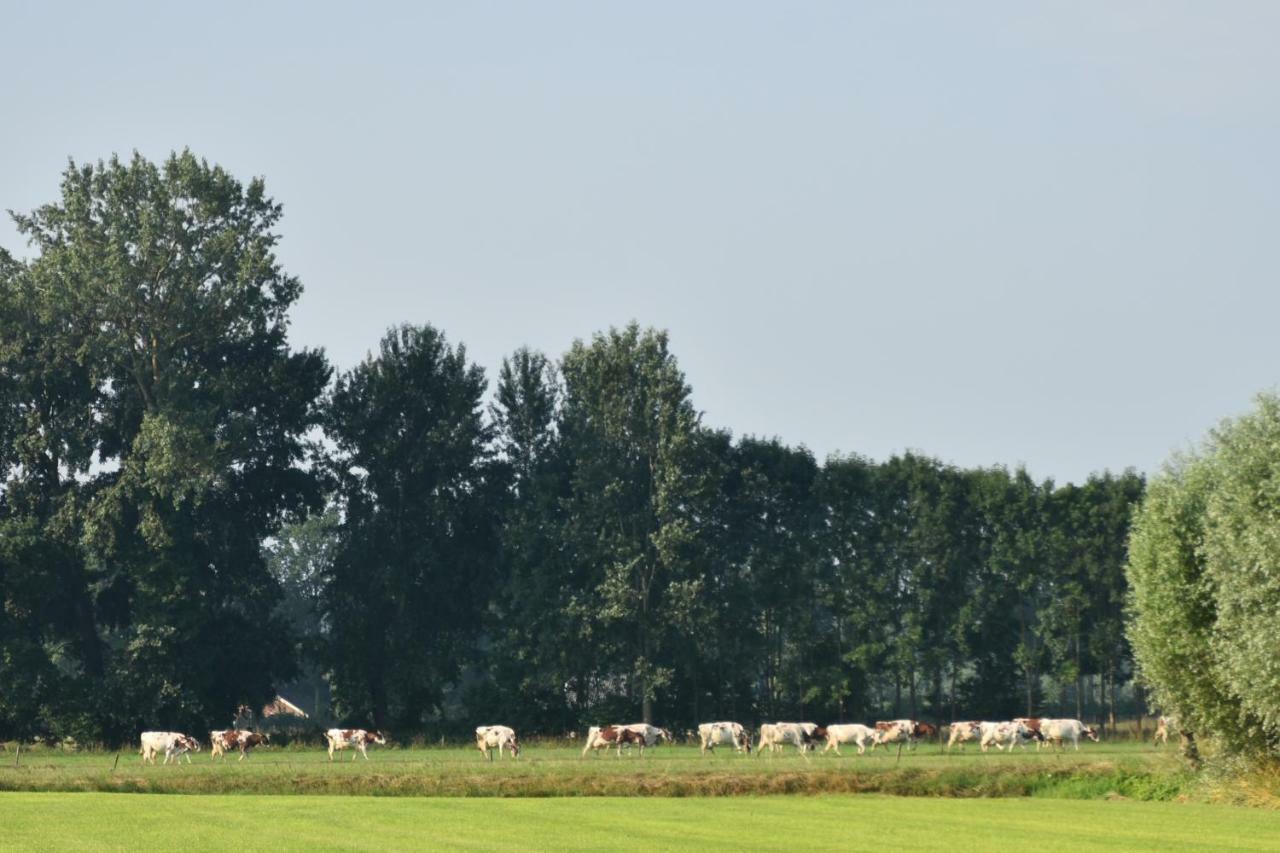 Beeldend Buiten Appartement Wichmond Buitenkant foto